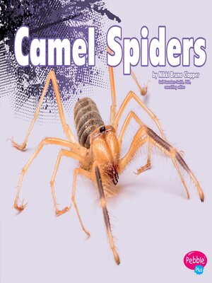 cover image of Camel Spiders